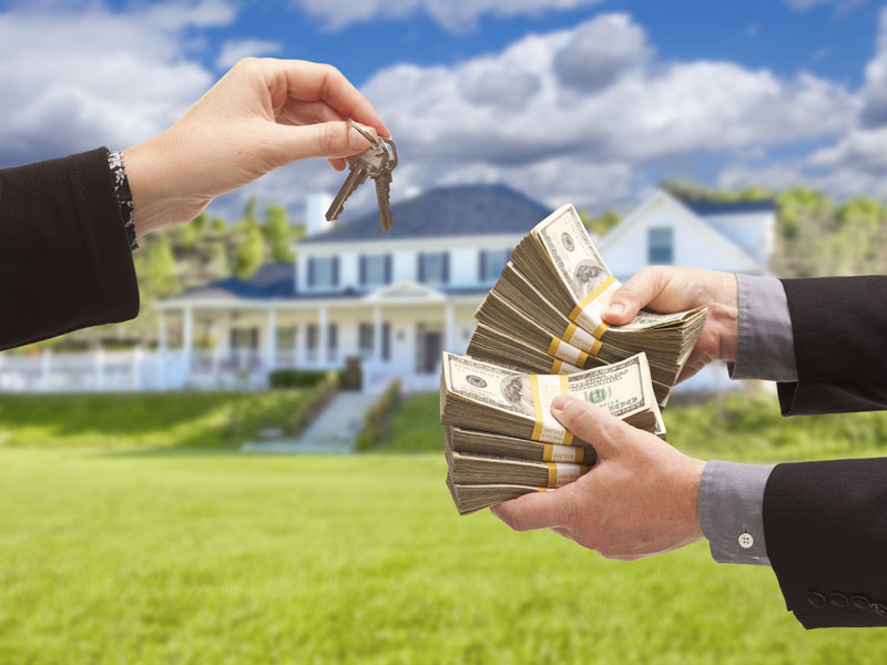 Should I Take An All-Cash Offer On A House?